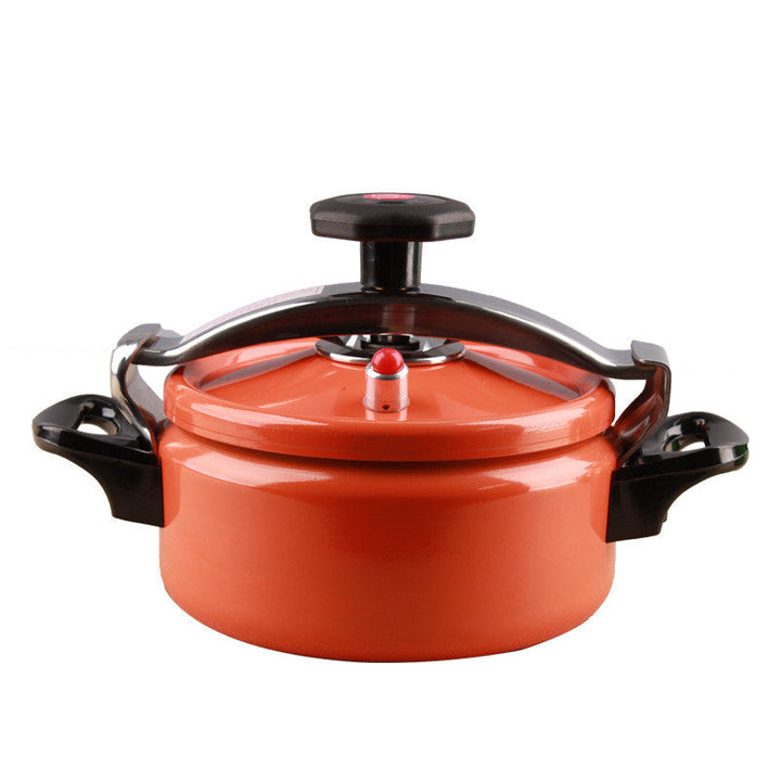 The Ultimate Cooking Companion: Pressure Cooker Small Pressure Cooker Induction Cooker Gas